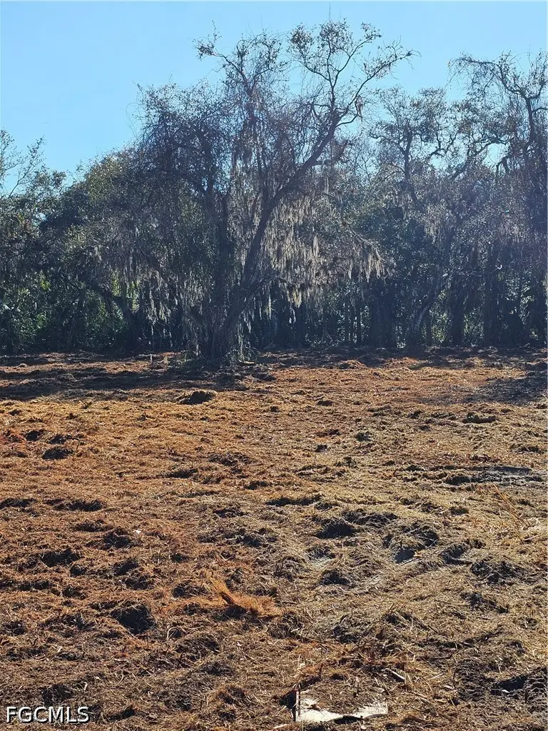 16470 B1 Daughtreys Creek Road, North Fort Myers, FL 33917 - #3