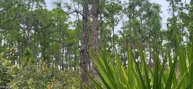 27278 Green Gulf Boulevard, Punta Gorda, FL 33955 - #1