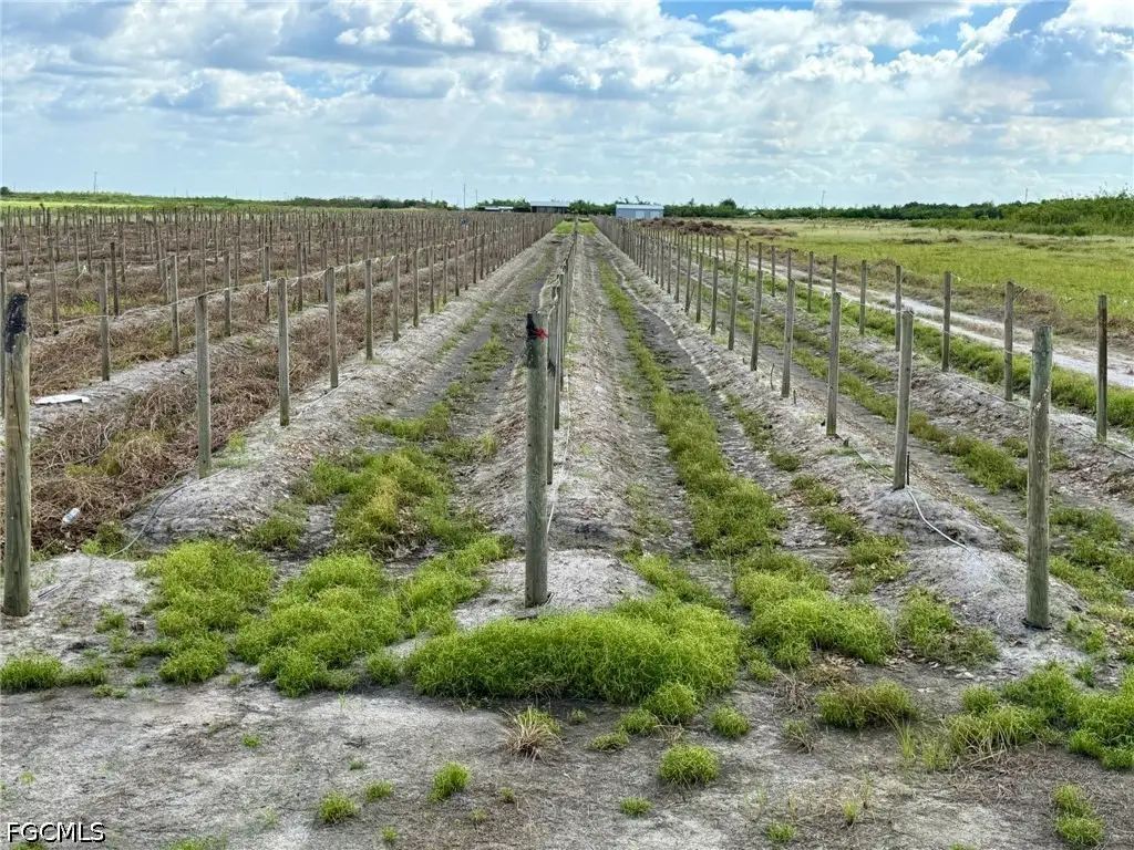 5567 5th Road, Labelle, FL 33935 - #1