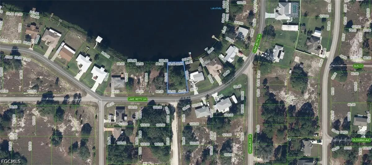 862 Lake Betty Drive, Lake Placid, FL 33852 - #1