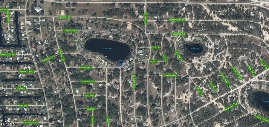 862 Lake Betty Drive, Lake Placid, FL 33852 - #2