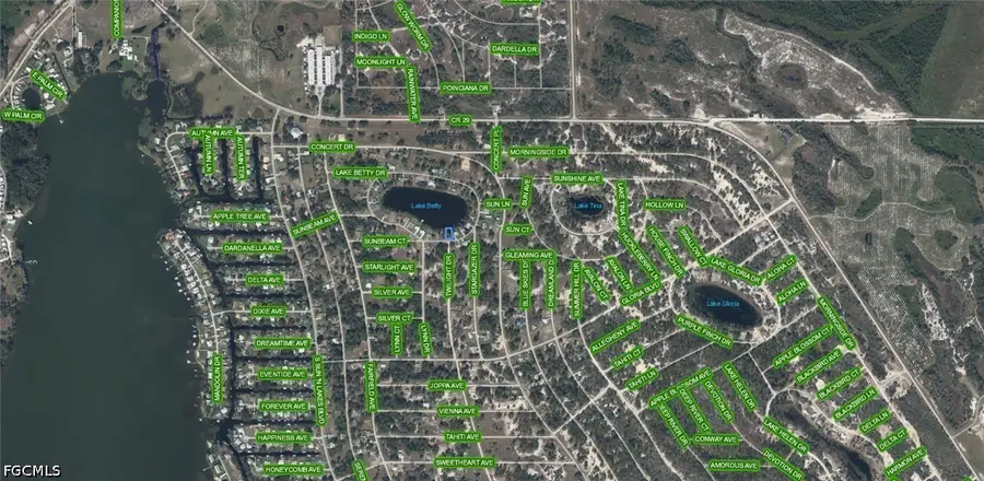 862 Lake Betty Drive, Lake Placid, FL 33852 - #3