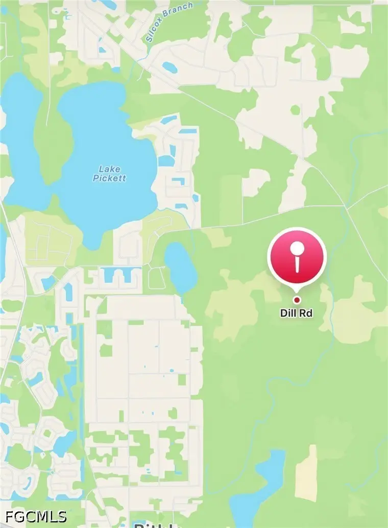 Dill Road, Orlando, FL 32820 - #2