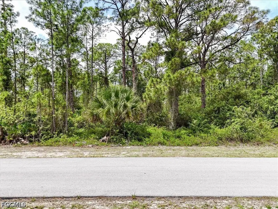 2117 Grayson Avenue, Alva, FL 33920 - #2