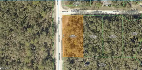 Sharpe Street, Webster, FL 33597