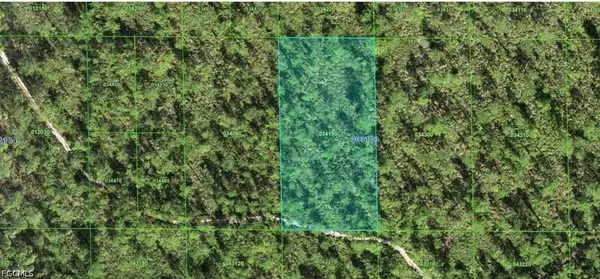 30-31-03-000000-034190 Inaaccesible Track, Lake Wales, FL 33898