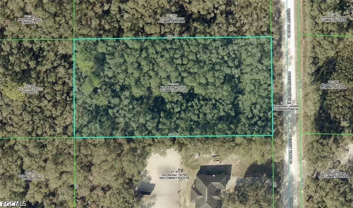 8223 Chimney Rock Drive, Webster, FL 33597 - #1