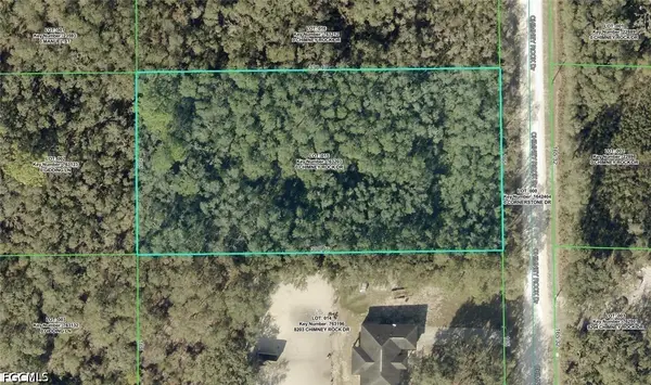 8223 Chimney Rock Drive, Webster, FL 33597