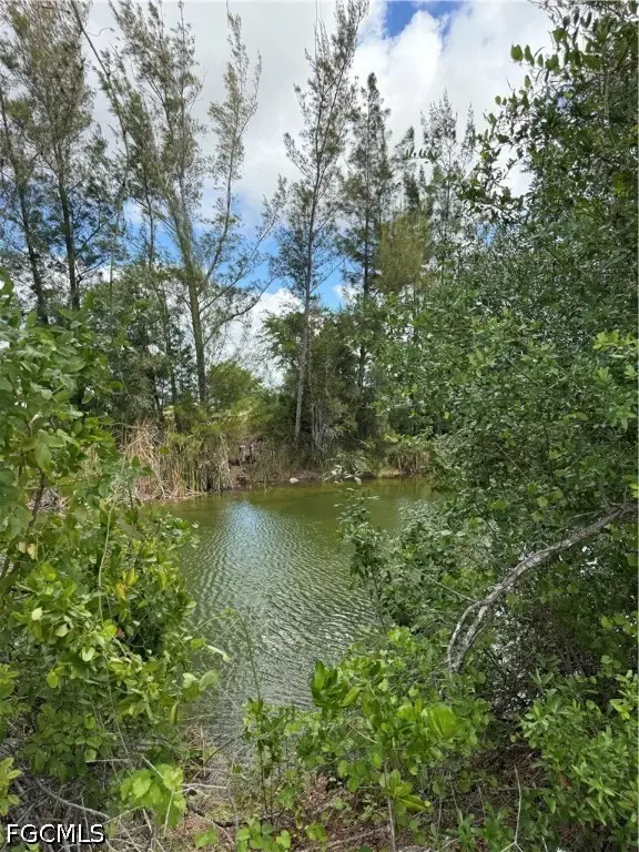 1419 NW 24th Terrace, Cape Coral, FL 33993 - #3