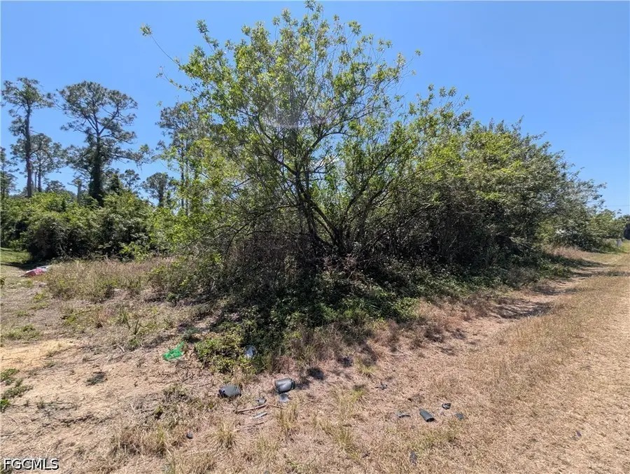 1009 Butler Street E, Lehigh Acres, FL 33974 - #2