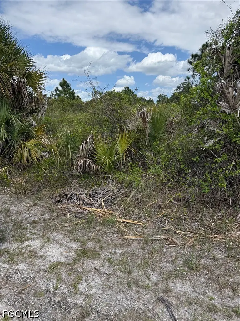 1104 Hamilton Avenue, Lehigh Acres, FL 33972 - #1