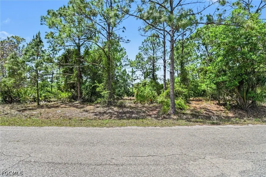 403 Wellington Avenue, Lehigh Acres, FL 33972 - #3