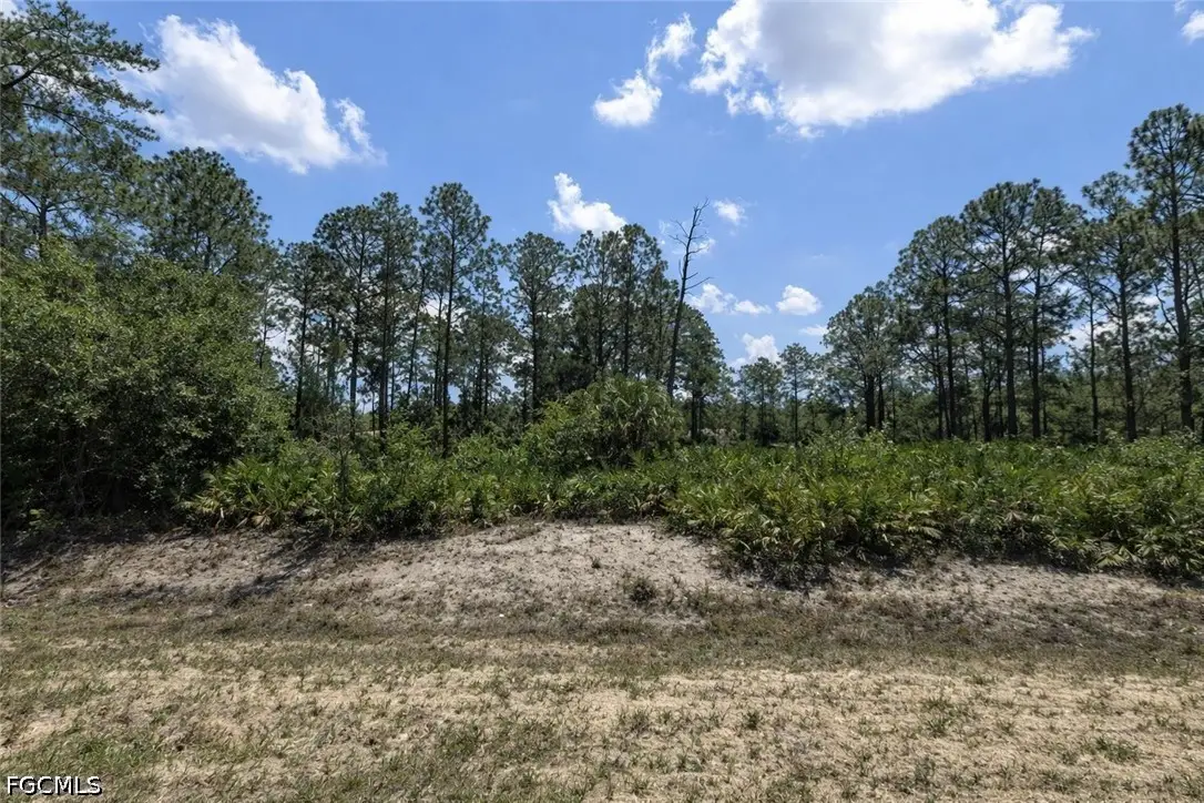 22 Wellington Avenue, Lehigh Acres, FL 33936 - #1