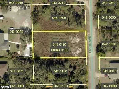 713 Louis Avenue, Lehigh Acres, FL 33972 - #1