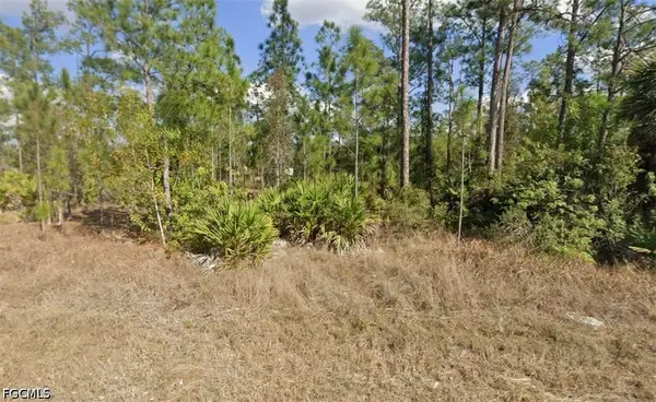 1402 Maple Avenue N, Lehigh Acres, FL 33972