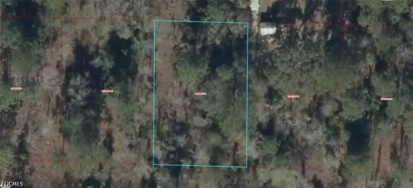 0930201700 NE 16th Lane, Williston, FL 32696