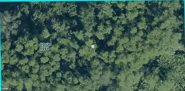 1002 Robert Avenue, Lehigh Acres, FL 33936