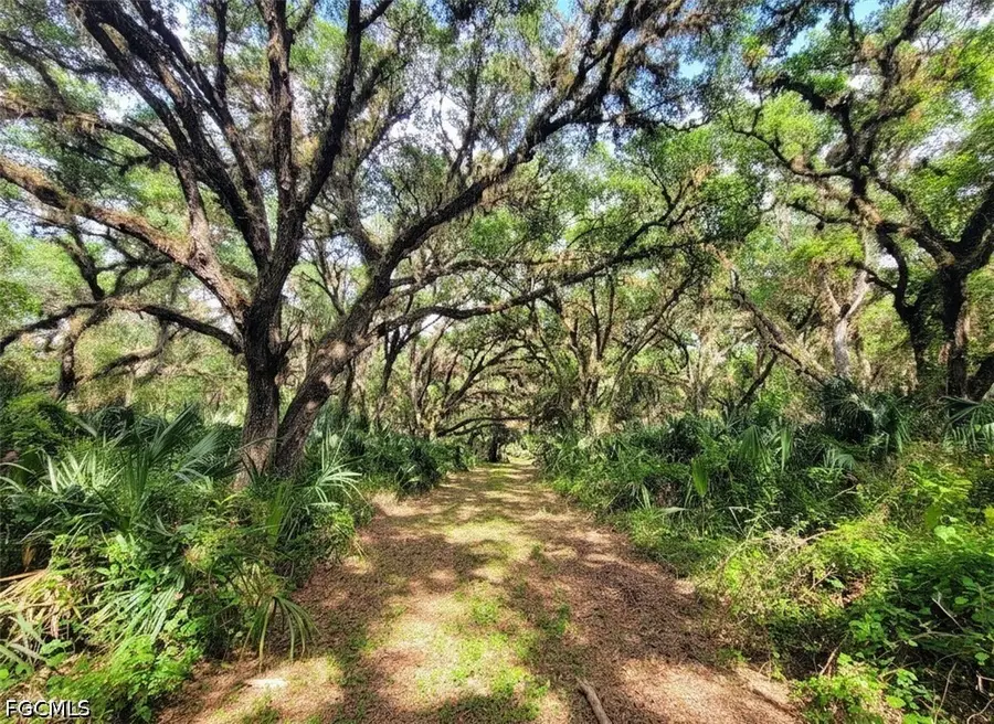 1040 Kirby Thompson Road, Labelle, FL 33935 - #3