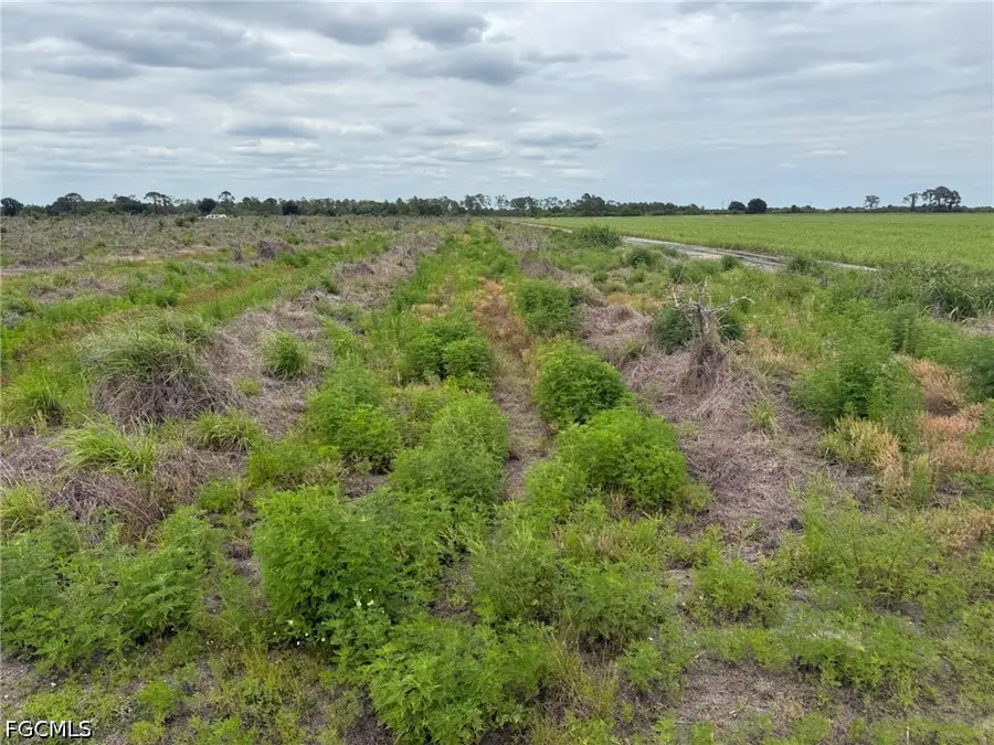 7156 6th Road, Labelle, FL 33935 - #2
