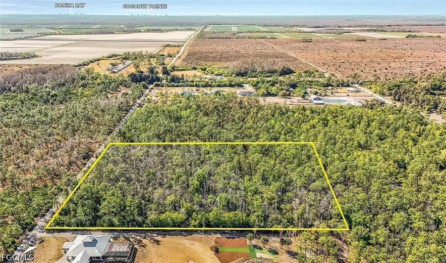 18203 Dusty Lane, Estero, FL 34142 - #2