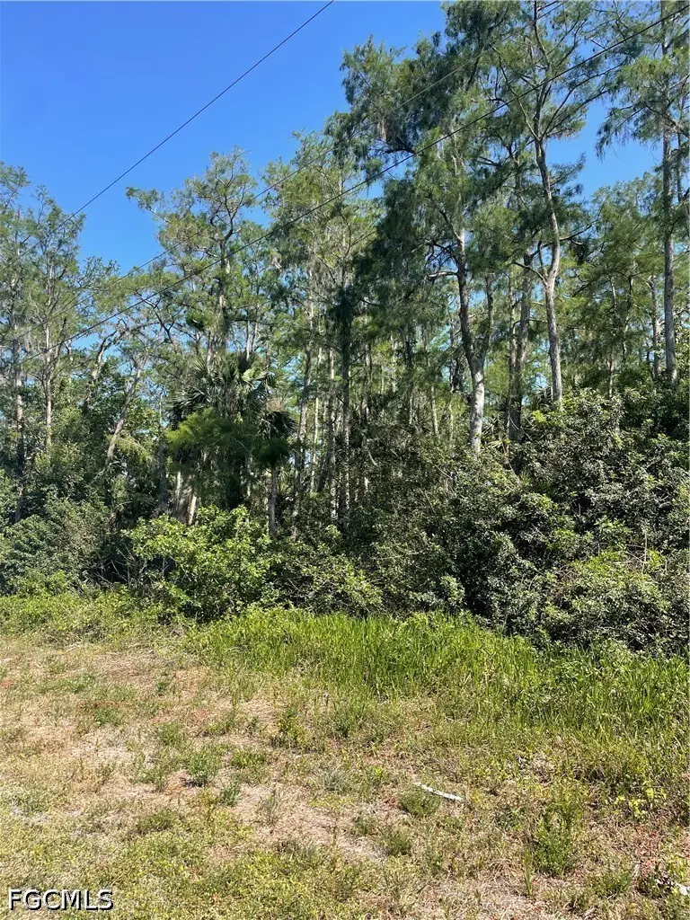 666 Knapp Street, Lehigh Acres, FL 33974 - #2