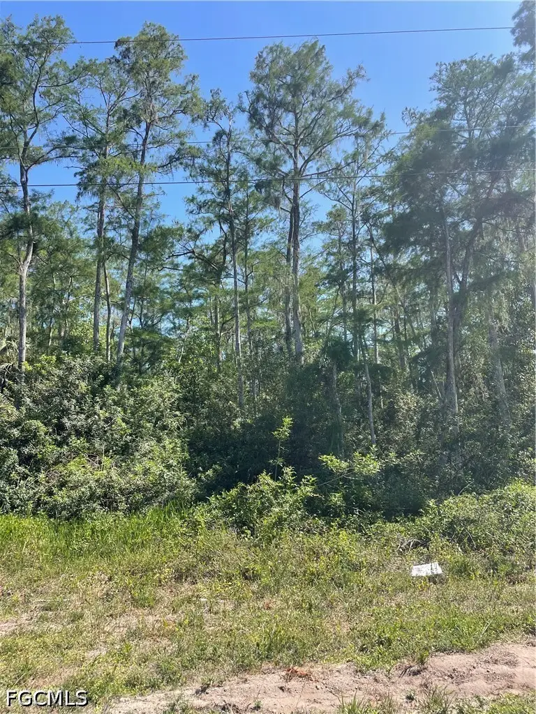 666 Knapp Street, Lehigh Acres, FL 33974 - #3