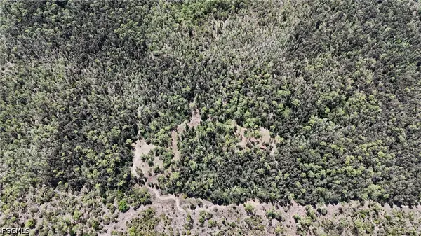16840 Jozach Drive, Naples, FL 34120