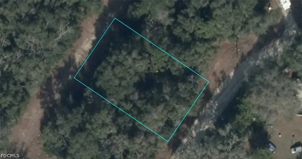 09214-002-00 NE 157th Avenue, Williston, FL 32696 - #1