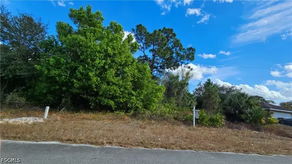 217 Narcissus Avenue S, Lehigh Acres, FL 33974