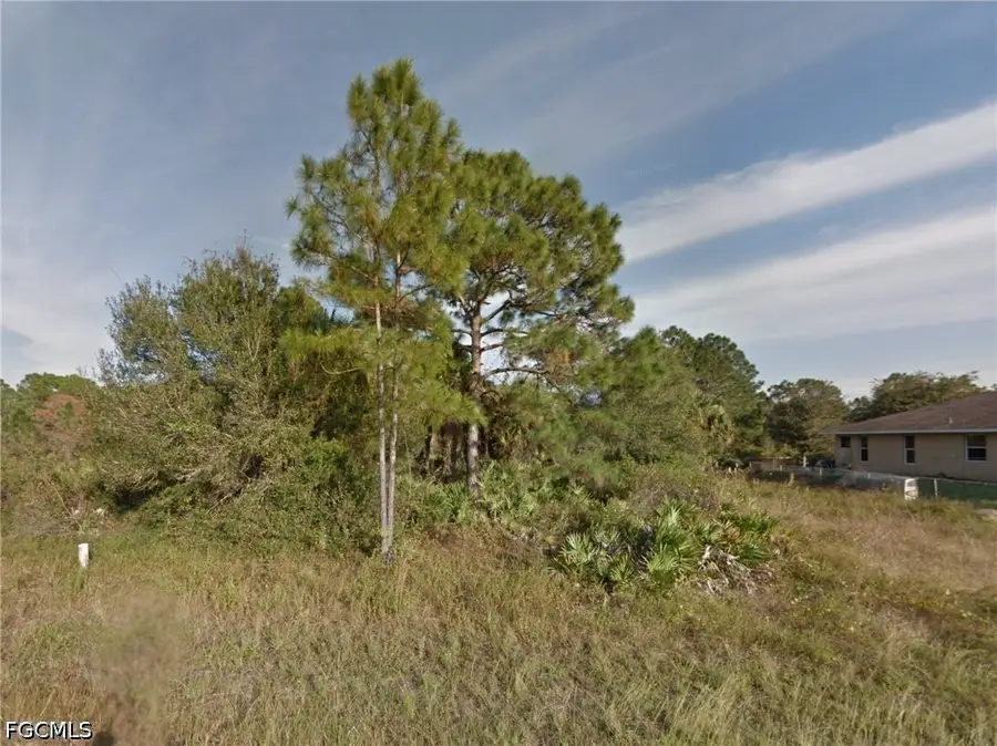 217 Narcissus Avenue S, Lehigh Acres, FL 33974 - #3