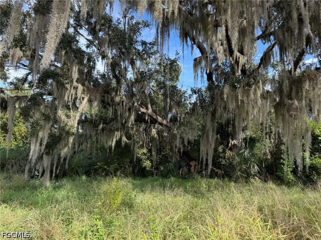 1445 S Florida Avenue, Wauchula, FL 33873 - #1