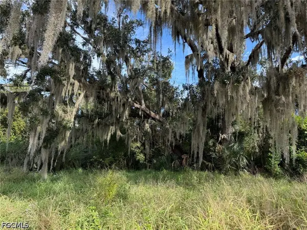 1445 S Florida Avenue, Wauchula, FL 33873
