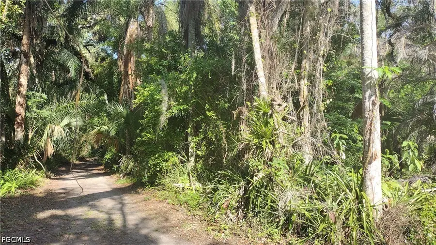 1469 Coffee Mill Hammock Road, Moore Haven, FL 33471 - #2