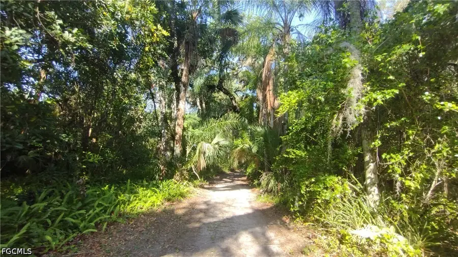 1469 Coffee Mill Hammock Road, Moore Haven, FL 33471 - #3