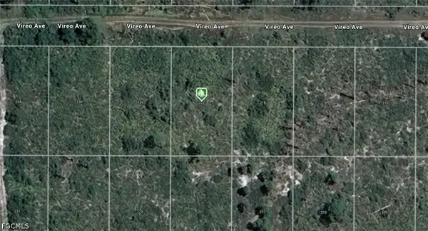 222 Vireo Avenue, Sebring, FL 33870