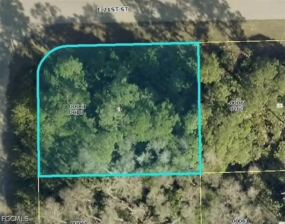 2024 Grayson Avenue W, Alva, FL 33920 - #1