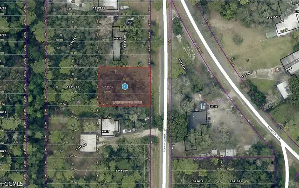 15-17-28-0100-021-00900 Pennsylvania Street, Paisley, FL 32767