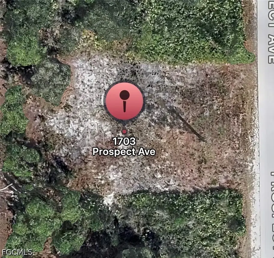 1703 Prospect Avenue, Lehigh Acres, FL 33972 - #1