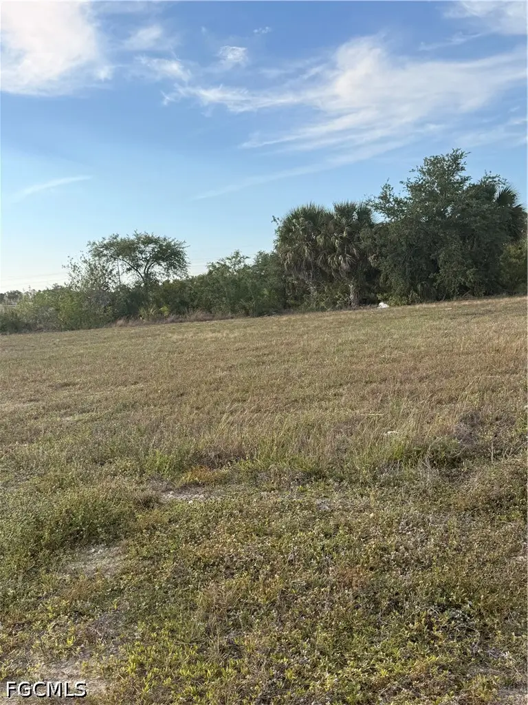 1421 NE 23rd Street, Cape Coral, FL 33909 - #3