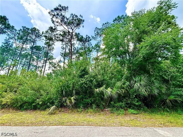207 Robert Avenue, Lehigh Acres, FL 33936