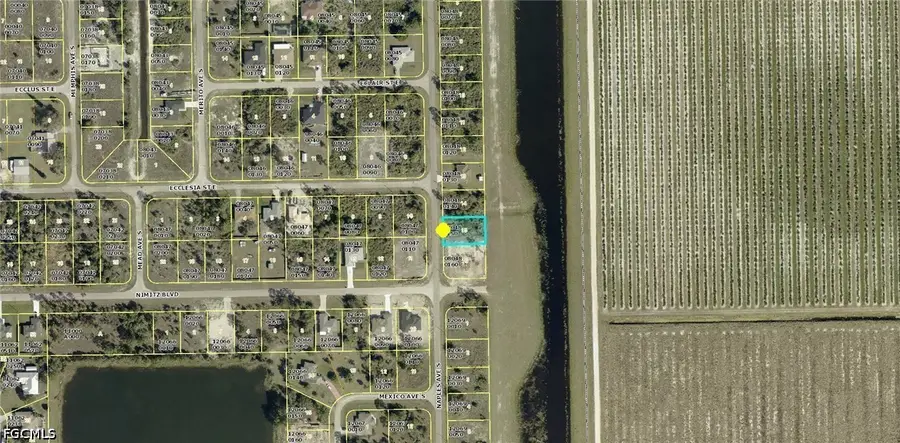 959 Naples Avenue S, Lehigh Acres, FL 33974 - #3