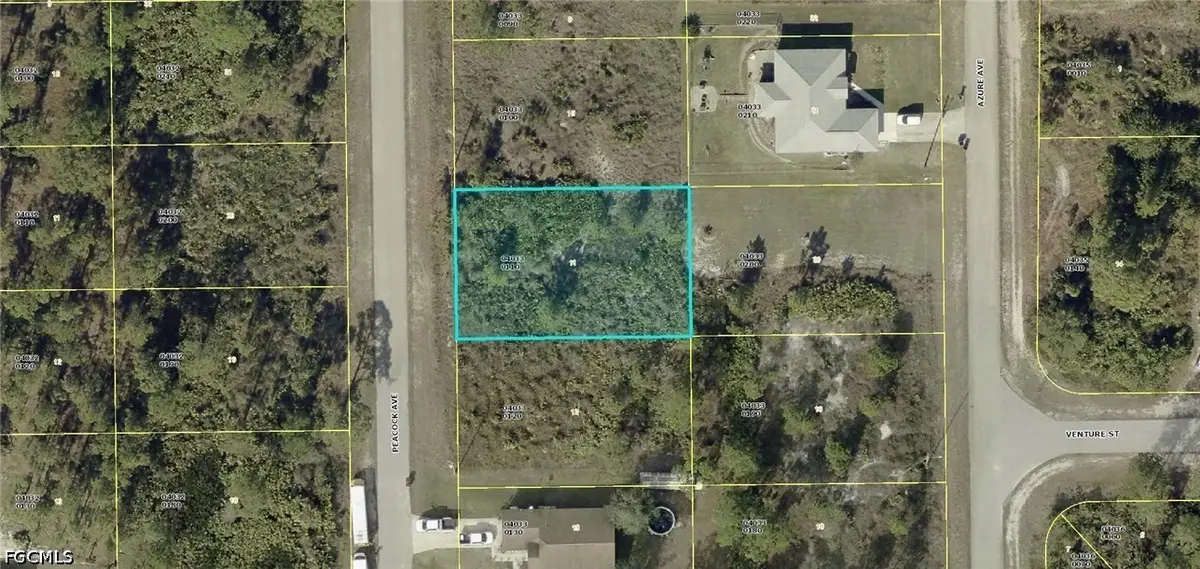 725 Peacock Avenue, Lehigh Acres, FL 33974 - #1