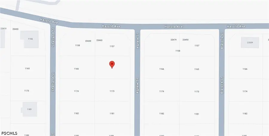1165 Agnew Street, Port Charlotte, FL 33980 - #3