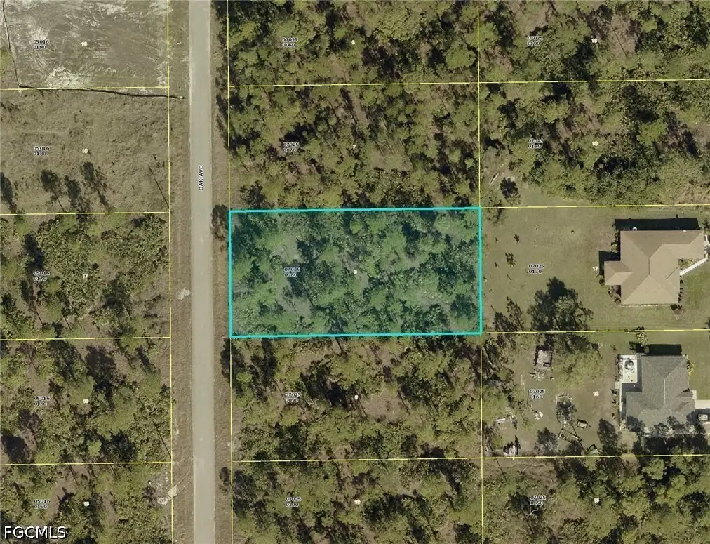 908 Oak Avenue, Lehigh Acres, FL 33972 - #1