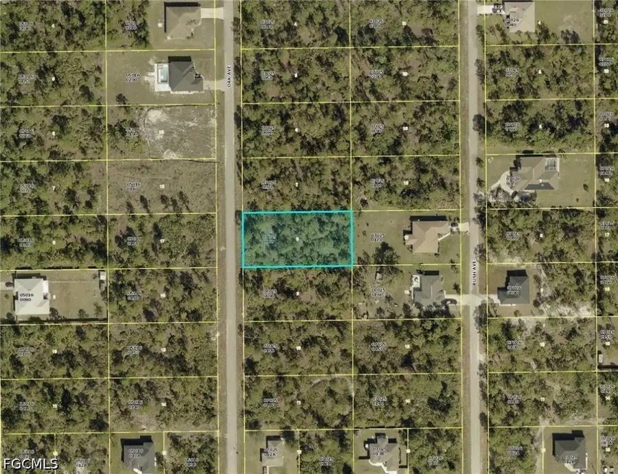 908 Oak Avenue, Lehigh Acres, FL 33972 - #2