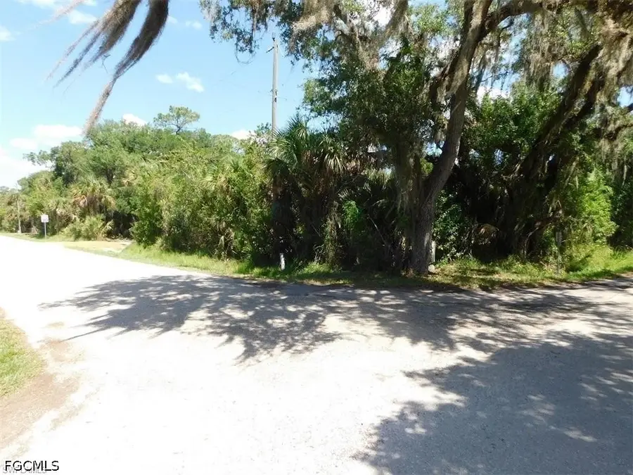 14971 Duke Highway, Alva, FL 33920 - #2
