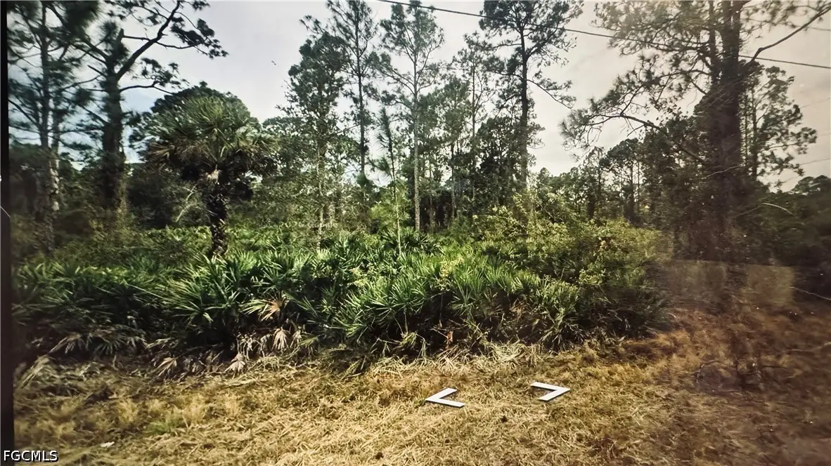 3802 E 21st Street, Alva, FL 33920 - #1