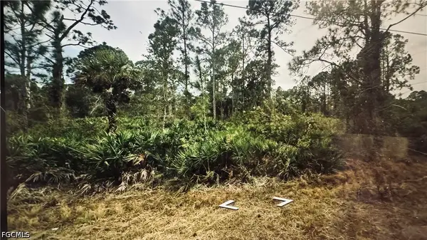 3802 E 21st Street, Alva, FL 33920