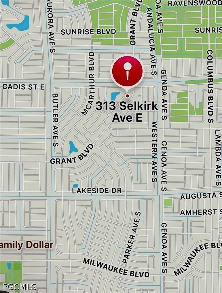 313 Selkirk Avenue, Lehigh Acres, FL 33974 - #3