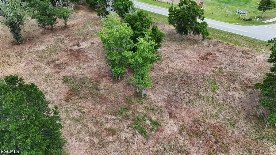 4203 Waring Road, Lakeland, FL 33811 - #3